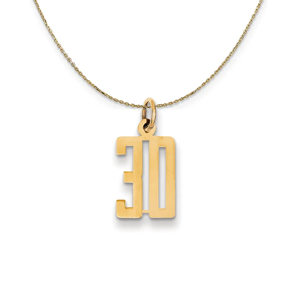 14k Yellow Gold, Alumni Small Elongated Number 30 Necklace