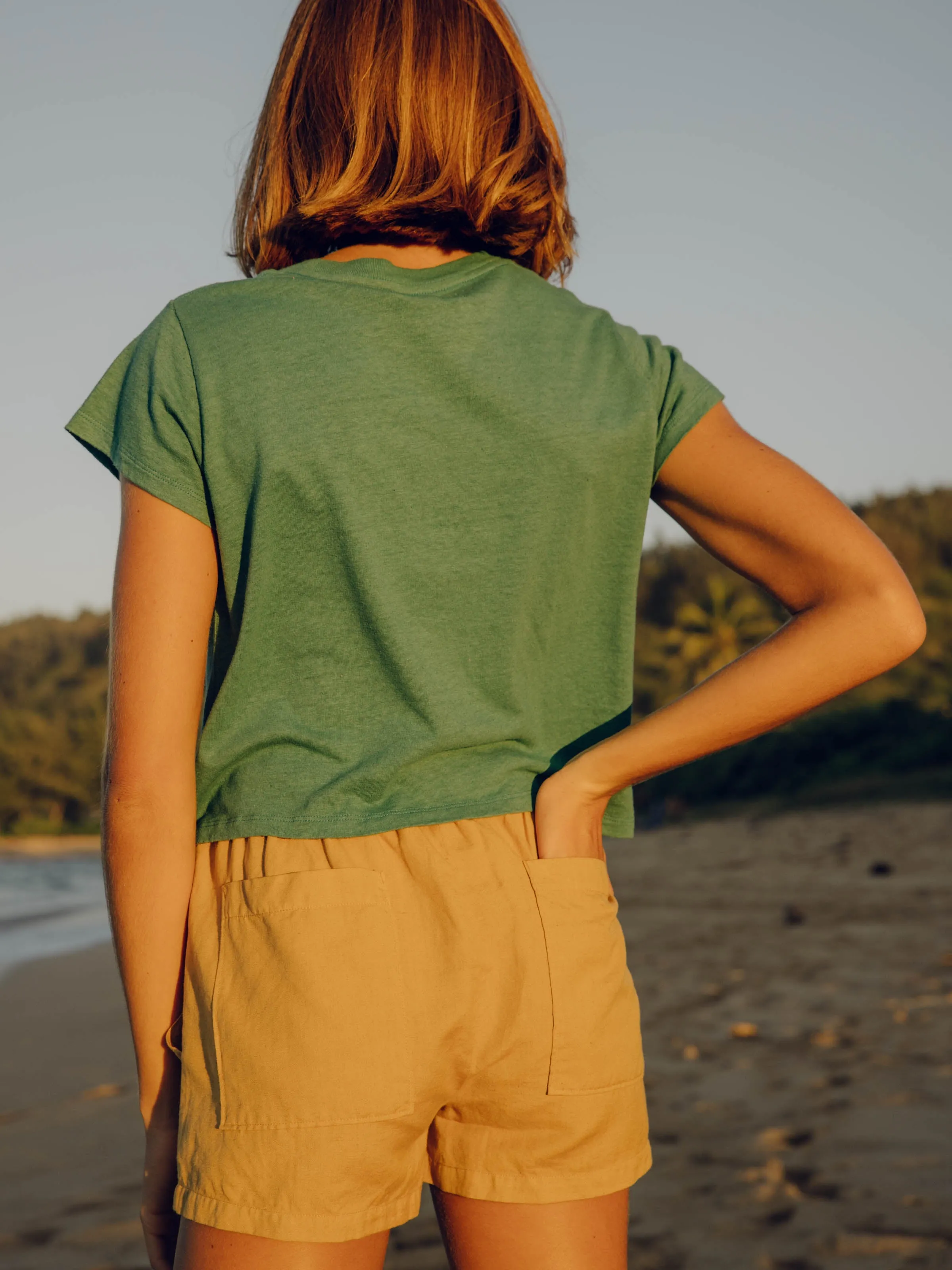 Shell Shorts