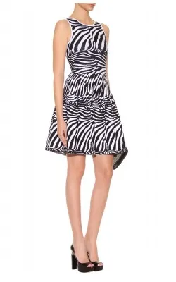 Zebra Knit Dress